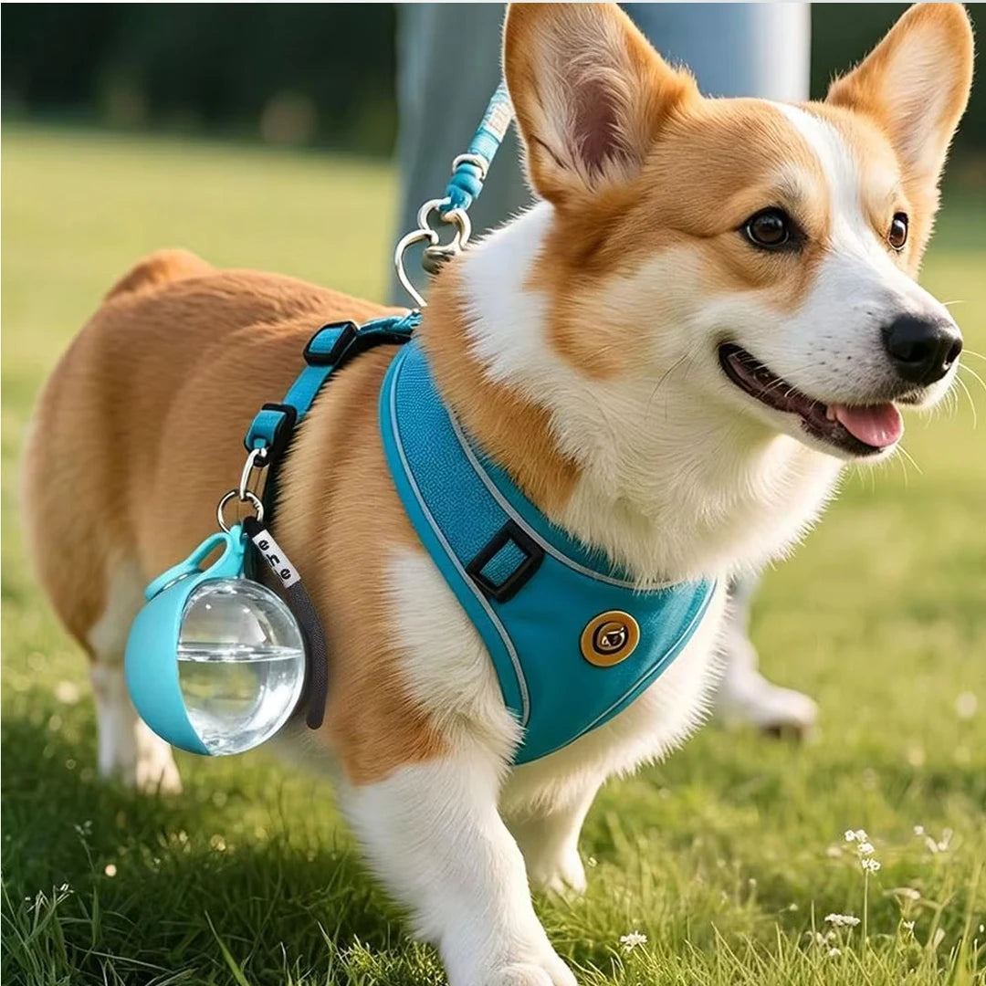2in1 Portable Dog Water Bottle Built In Collapsible Bowl Outdoor Walking Hiking Travel Water Feeder Compact Hydration Cup