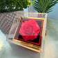 Forever Love with Rotating Rose Gift Box