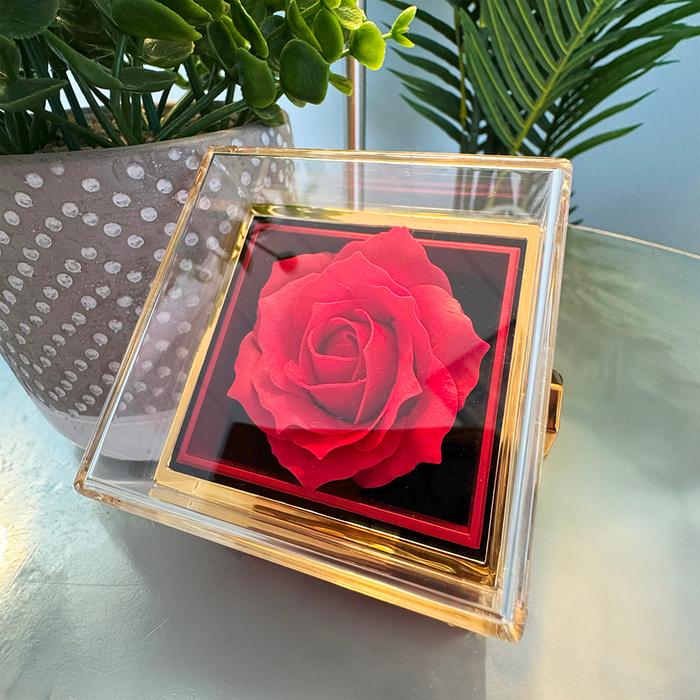 Forever Love with Rotating Rose Gift Box